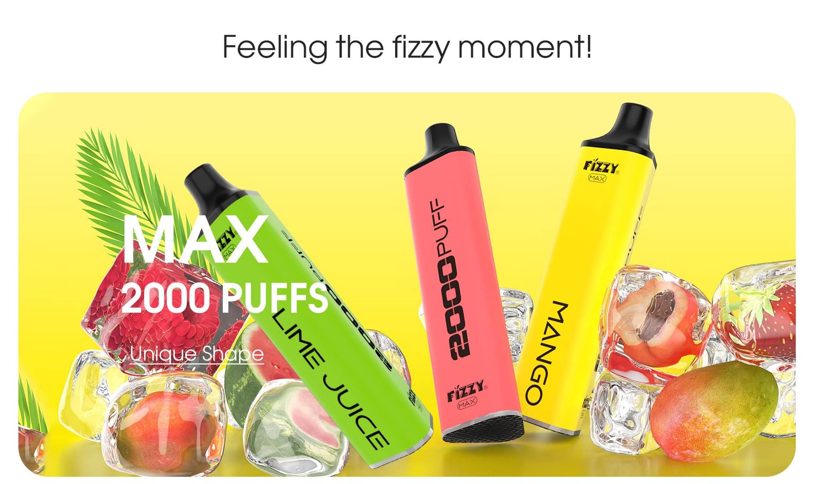 Fizzy Max02