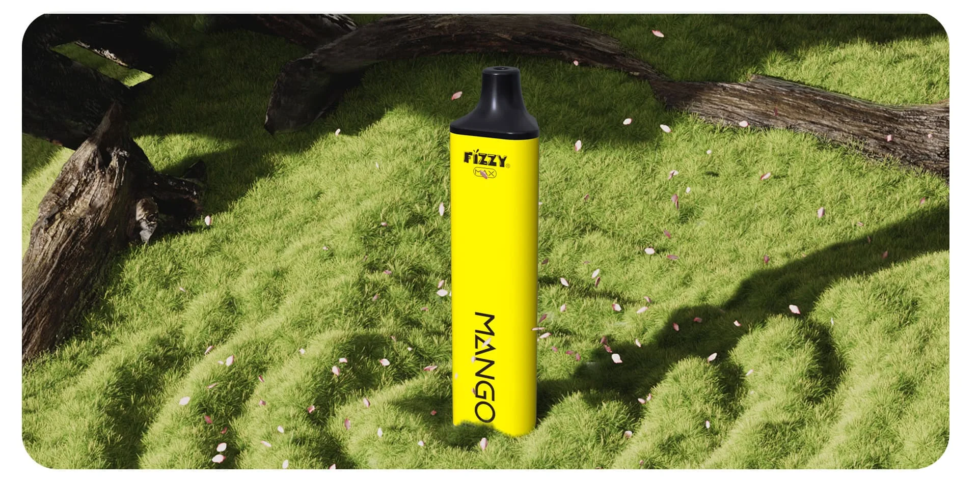 Fizzy Max05